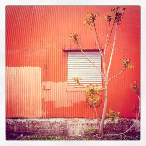 Red tin building with tree