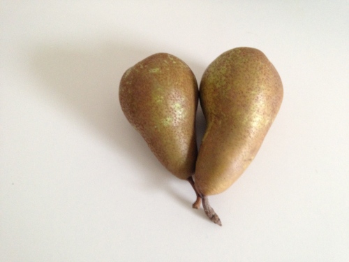 Two pears snuggled together