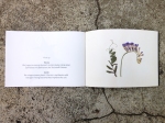 Pages about the plant vetch, from 
